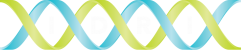 IDRI logo